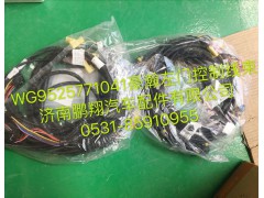 WG9525771041,豪瀚左車門線束,濟(jì)南鵬翔汽車配件有限公司