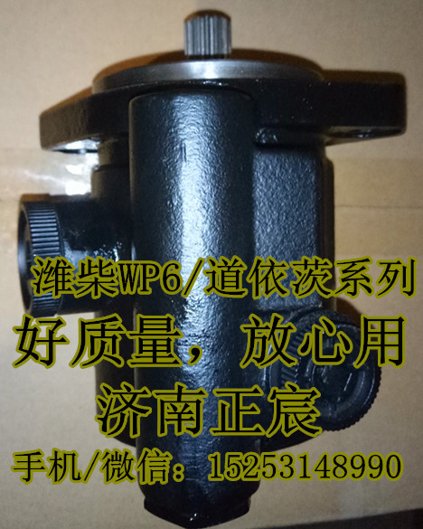 DZ9100130042,助力泵/葉片泵/齒輪泵,濟(jì)南正宸動(dòng)力汽車(chē)零部件有限公司