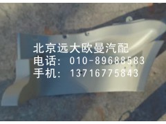 1B24984504035,腳踏板護罩,北京遠大歐曼汽車配件有限公司