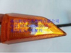 WG9725720017,重汽豪沃08款側(cè)轉(zhuǎn)向燈斜角左,濟(jì)南鵬翔汽車配件有限公司