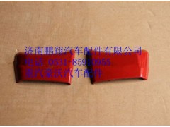 WG1664110072,重汽豪沃A7車門鉸鏈裝飾板右,濟南鵬翔汽車配件有限公司