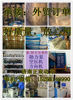 341AAA0000,助力泵/葉片泵/齒輪泵,濟(jì)南正宸動(dòng)力汽車零部件有限公司