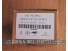 612630060837,濰柴發(fā)動機自動漲緊輪,山東省啟贏動力汽車零部件