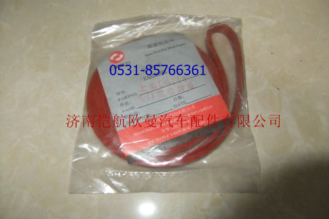 D04-135-30a,汽缸蓋罩密封帶,濟(jì)南愷航歐曼汽車配件有限公司