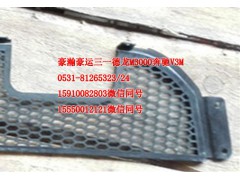 AZ9525930060,保險(xiǎn)杠裝飾格柵,濟(jì)南隆旭汽車(chē)配件有限公司