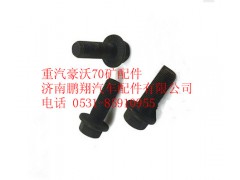 AZ9970320018,重汽豪沃70礦六角法蘭面承面帶齒螺栓,濟南鵬翔汽車配件有限公司