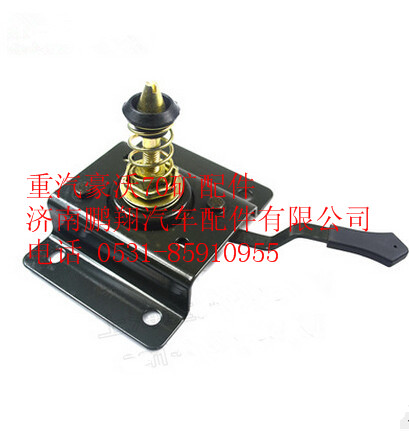 WG1651113030,重汽豪沃70礦面罩鎖總成,濟南鵬翔汽車配件有限公司
