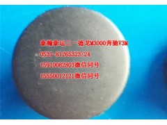 AZ1651740071,前臉扶手塞帽,濟(jì)南隆旭汽車配件有限公司
