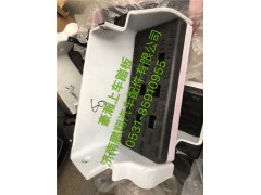 WG1651240060,豪瀚右上車踏板   豪瀚駕駛室配件,濟(jì)南鵬翔汽車配件有限公司
