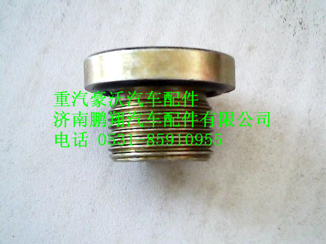 wg9231340002,重汽豪沃圓柱內六角頭螺塞總成,濟南鵬翔汽車配件有限公司