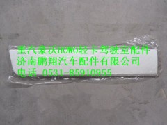 LG1612230005,重汽豪沃HOWO輕卡中體踏板左下裝飾板,濟南鵬翔汽車配件有限公司
