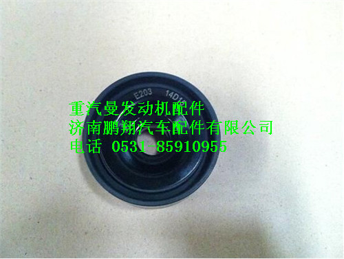 080V95800-6099,重汽曼MC07惰輪,濟南鵬翔汽車配件有限公司