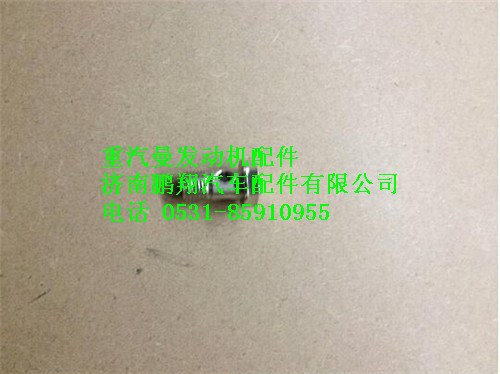 080V98150-0175,重汽曼MC07空心螺栓,濟南鵬翔汽車配件有限公司