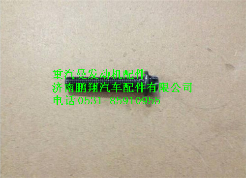 080V90490-0028,重汽曼MC07連桿螺栓,濟南鵬翔汽車配件有限公司