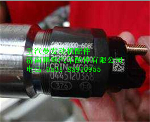 080V10100-6085,重汽曼MC07噴油器,濟南鵬翔汽車配件有限公司