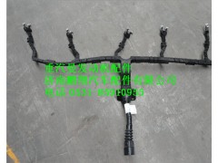 202V25413-6256,重汽曼MC11噴油器線束,濟南鵬翔汽車配件有限公司