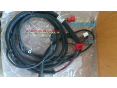 AZ9716772007,EGR發(fā)動機電線束,濟南百思特駕駛室車身焊接廠
