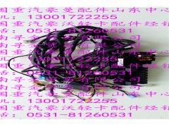 ,豪沃輕卡駕駛室線束,濟南尋金貿(mào)易有限公司