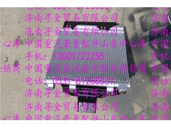 ,豪沃輕卡冷凝器總成,濟南尋金貿(mào)易有限公司