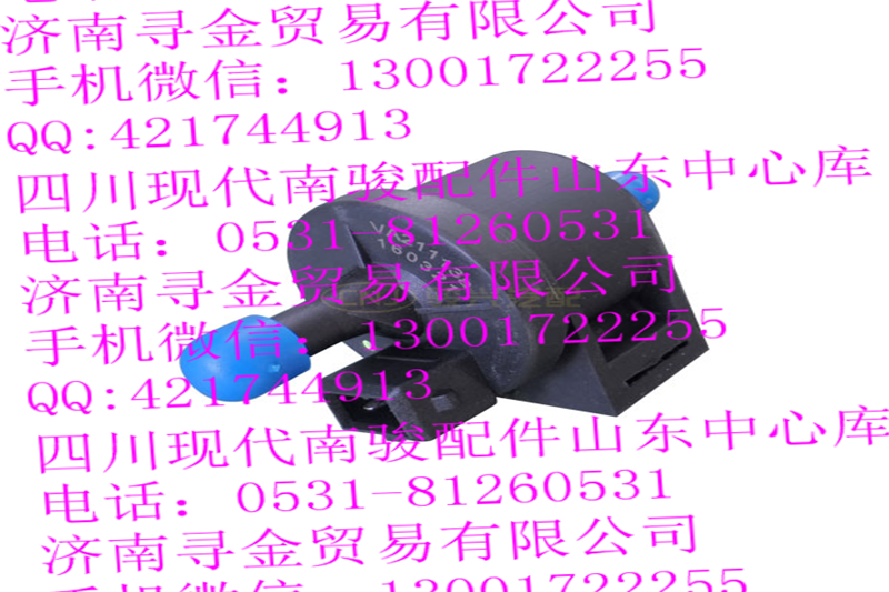 豪沃輕卡LJ469（VA21113a） 碳罐電磁閥/