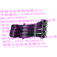 豪沃輕卡國(guó)五 LJ469QE2-1008110 進(jìn)氣歧管總成