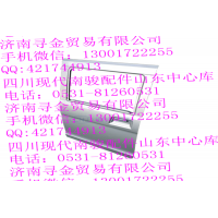 豪沃輕卡左后車門殼體