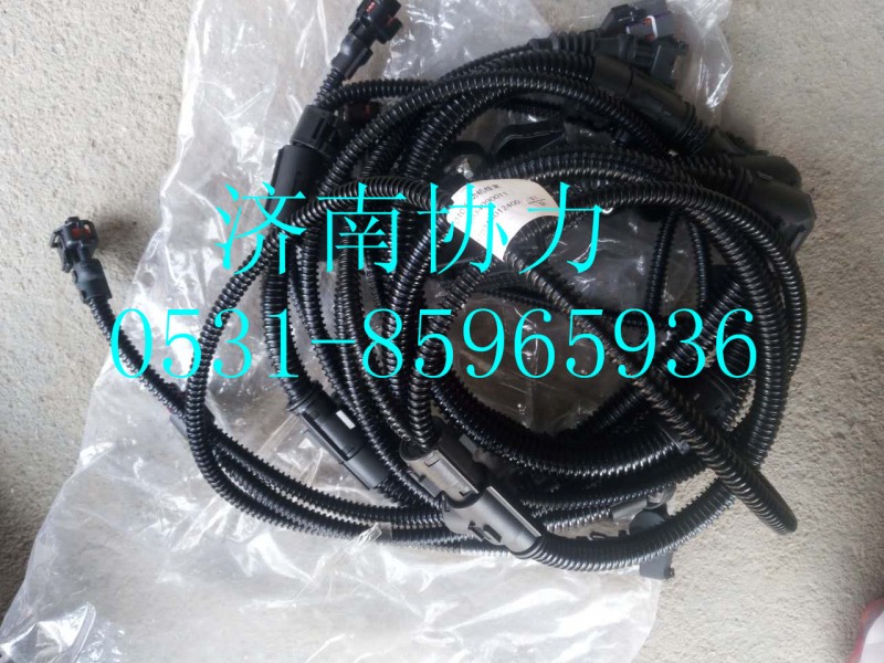 VG1034090011,發(fā)動(dòng)機(jī)線束（HW3812014P）,濟(jì)南明鉅汽車配件有限公司（原濟(jì)南協(xié)力）