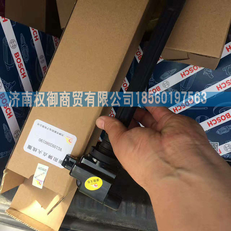WG1092080190,天然氣點(diǎn)火線圈,濟(jì)南權(quán)御進(jìn)出口有限公司