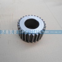 81351130034太陽(yáng)輪