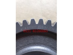 JS119-1701109,二軸倒檔齒輪,濟南鴻沃達汽配有限公司