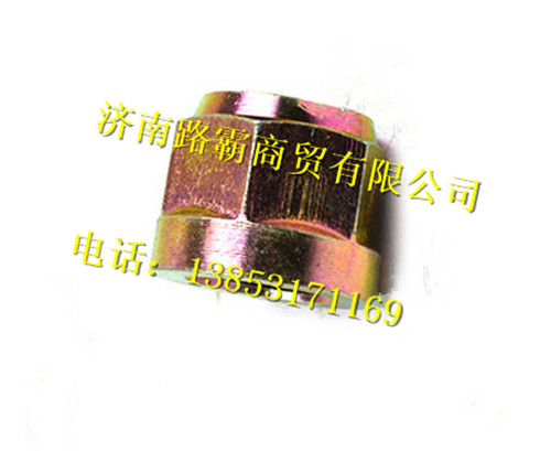 WG9725520750,六角帶肩自鎖螺母,濟南匯德卡汽車零部件有限公司