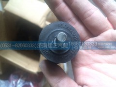 AZ9719199033,翻轉(zhuǎn)支架膠套,濟(jì)南佳藝汽配