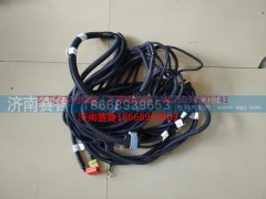 WG1034121341,SCR整車(chē)線束,濟(jì)南賽魯汽配有限公司