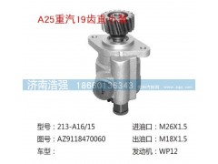 AZ9118470060,重汽19齒直小泵,濟南浩強助力泵發(fā)展有限公司