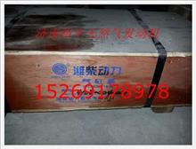 410800040001,電噴發(fā)動機(jī)缸蓋總成,濟(jì)南裕豐汽車配件銷售中心