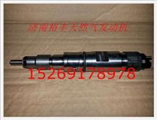 610800080073,電噴發(fā)動機噴油器總成,濟南裕豐汽車配件銷售中心