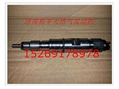 610800080073,電噴發(fā)動機噴油器總成,濟南裕豐汽車配件銷售中心