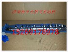 610800080061,電噴發(fā)動(dòng)機(jī)共軌管總成,濟(jì)南裕豐汽車配件銷售中心
