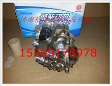 610800080072,電噴發(fā)動機噴油泵共軌泵總成,濟南裕豐汽車配件銷售中心