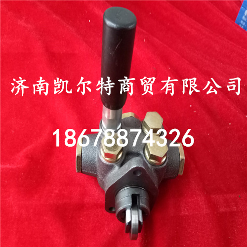 VG1500080100,供油泵,濟(jì)南凱爾特商貿(mào)有限公司