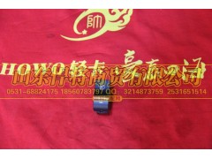 LG9704580111,前霧燈開關,山東悍將商貿(mào)有限公司