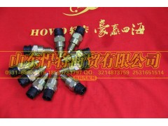 WK-102,HOWo豪沃輕卡空檔開(kāi)關(guān)(插接口),山東悍將商貿(mào)有限公司
