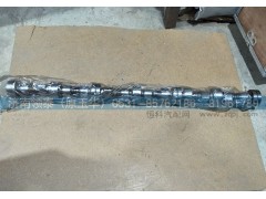 200-04400-6050,凸輪軸總成,濟南領(lǐng)泰（原玉華）汽車零部件有限公司