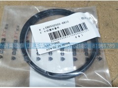 080V02503-6810,活塞環(huán)套件,濟(jì)南領(lǐng)泰（原玉華）汽車(chē)零部件有限公司