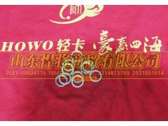 HOWO豪沃輕卡LG9700360503,支撐墊圈M16,山東悍將商貿(mào)有限公司