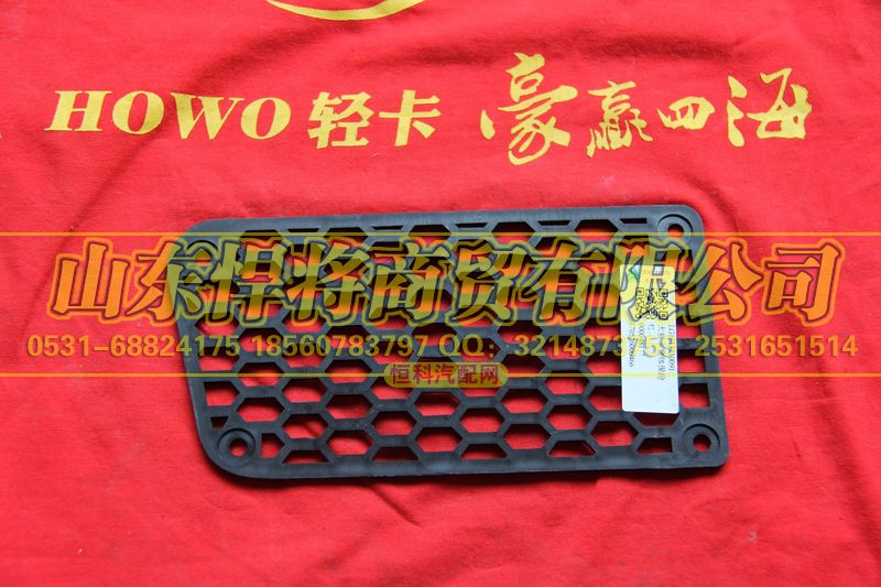 LG1611230091,HOWO豪沃輕卡大輕卡寬體保險(xiǎn)杠左裝飾網(wǎng),山東悍將商貿(mào)有限公司