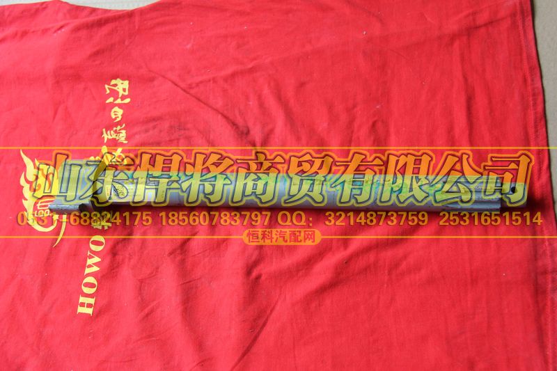 102015038,HAOWO豪沃輕卡凸輪軸左,山東悍將商貿有限公司