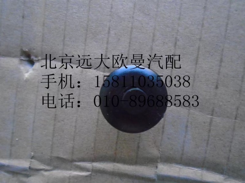 1B24984300029,卡扣銷-擋泥板,北京遠大歐曼汽車配件有限公司