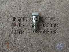 3957290,檢查閥止回閥,北京遠(yuǎn)大歐曼汽車配件有限公司