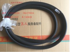 810W62651-0107,車(chē)門(mén)密封條,濟(jì)南冠澤卡車(chē)配件營(yíng)銷(xiāo)中心